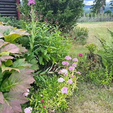 Semesterbostad Cluster With Bonfire Near Eikeren Eidsfoss